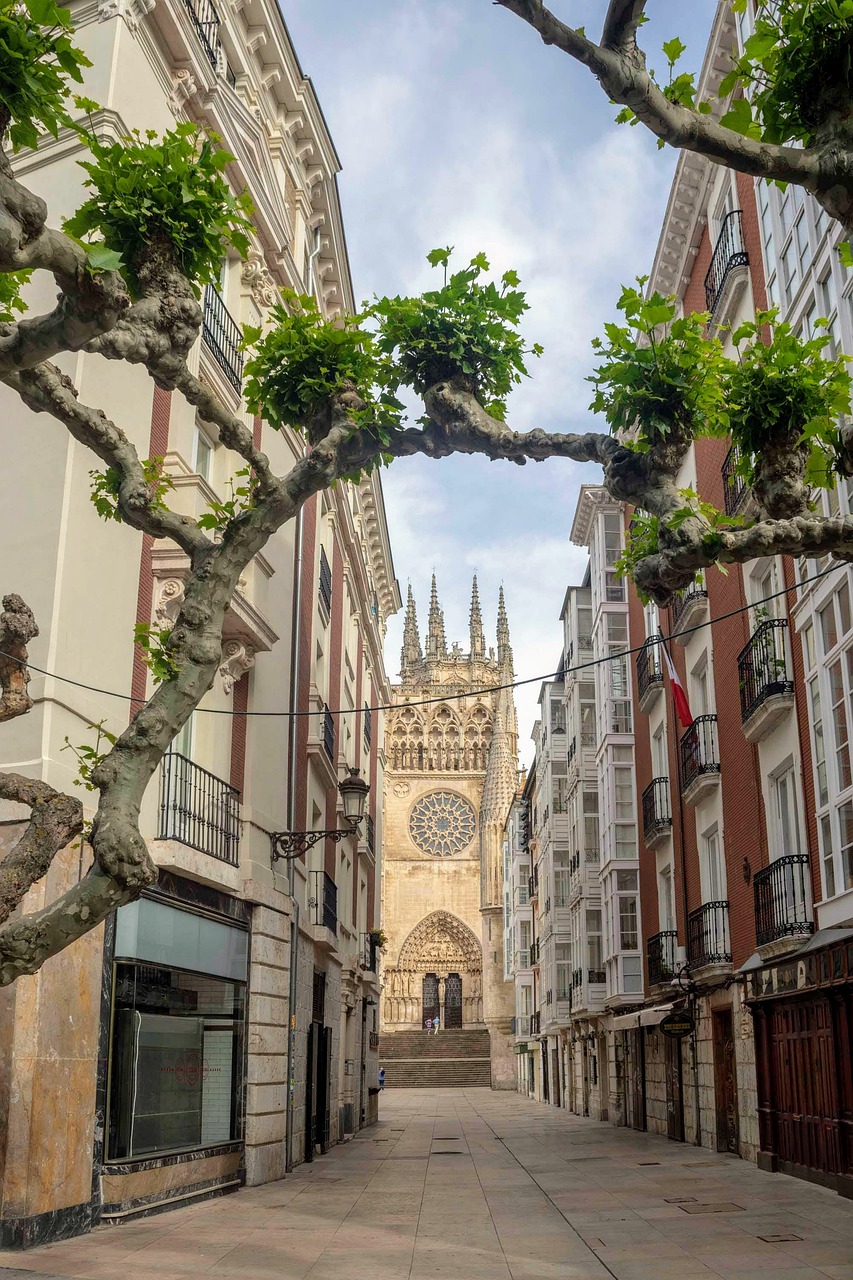 Discovering the Charms of León